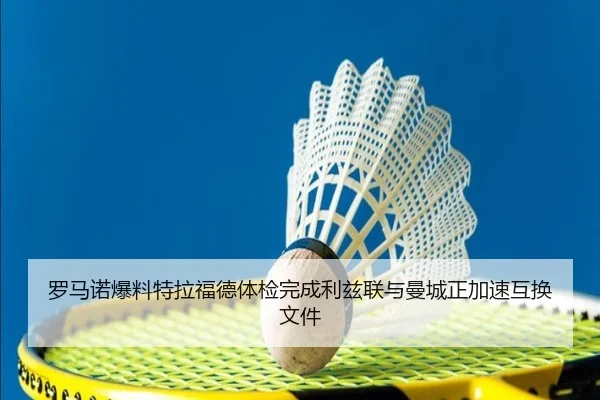罗马诺爆料特拉福德体检完成利兹联与曼城正加速互换文件 - leyu